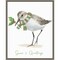 Christmas Sandpiper II by Lucca Sheppard Canvas Art Framed